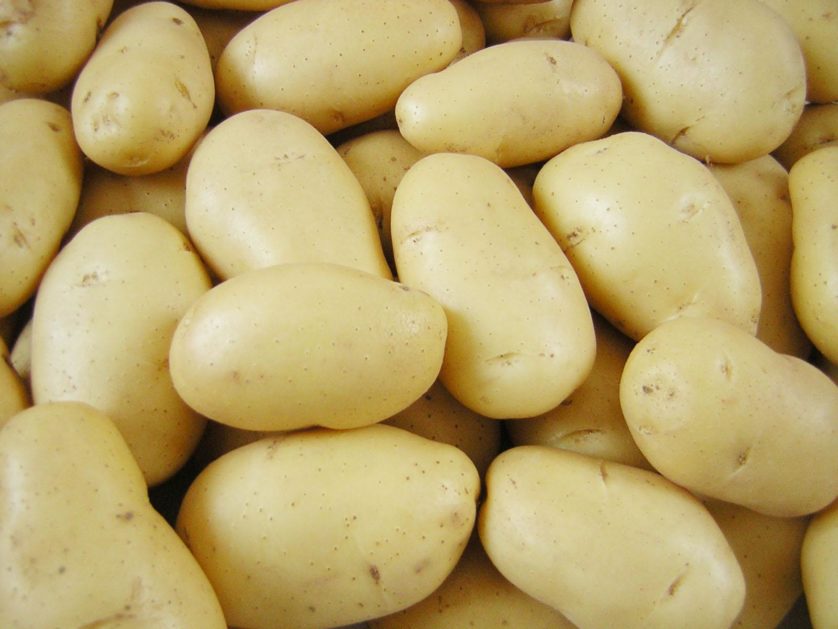 Esses são os 7 alimentos que você nunca deve lavar e o porquê