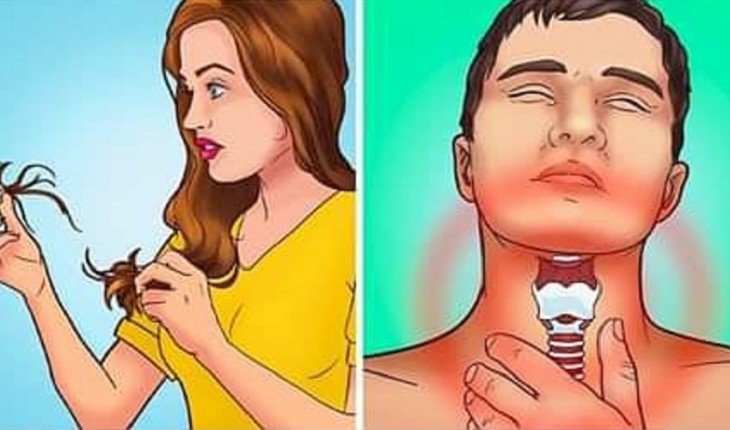 Quando sua tireoide não está funcionando bem seu corpo avisa com esses  sinais - Diário VIP - Entretenimento, Dicas e Saúde