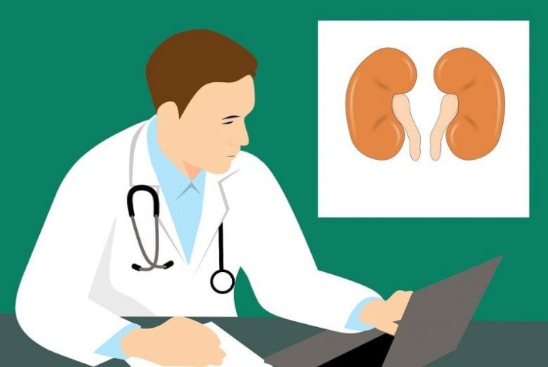 5 sinais que podem lhe dizer que há algo errado com seus rins – não os ignore!