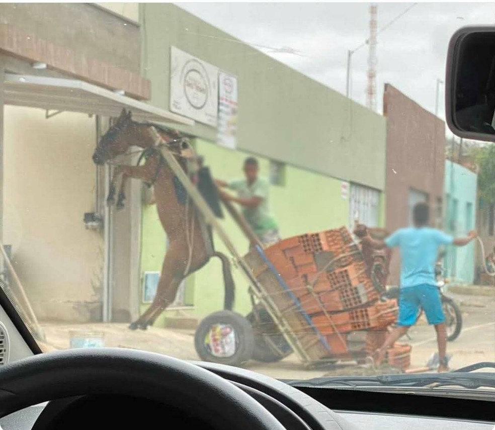 Burro fica suspenso em carroça com excesso de peso no Ceará; polícia ambiental notificou responsável