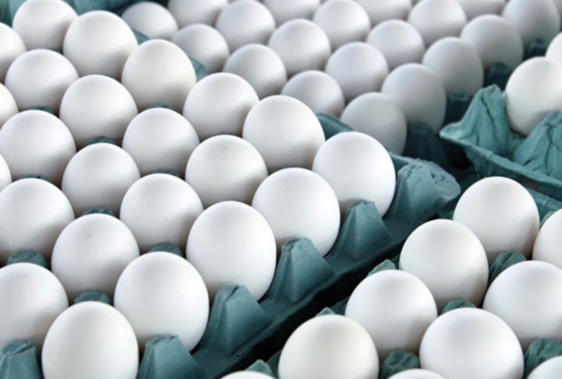Comer ovo diariamente faz mal à saúde? Quantos posso comer por dia?