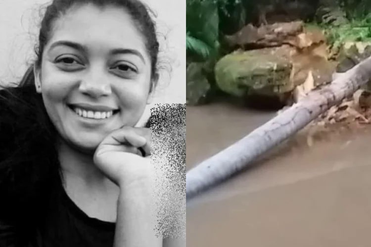 Jovem morre após ser atingida por palmeira durante chuva no Nordeste