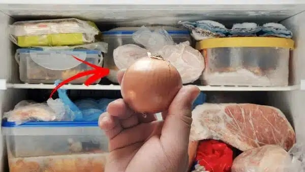 Por que colocar uma cebola no congelador está virando febre? Descubra 3 motivos surpreendentes